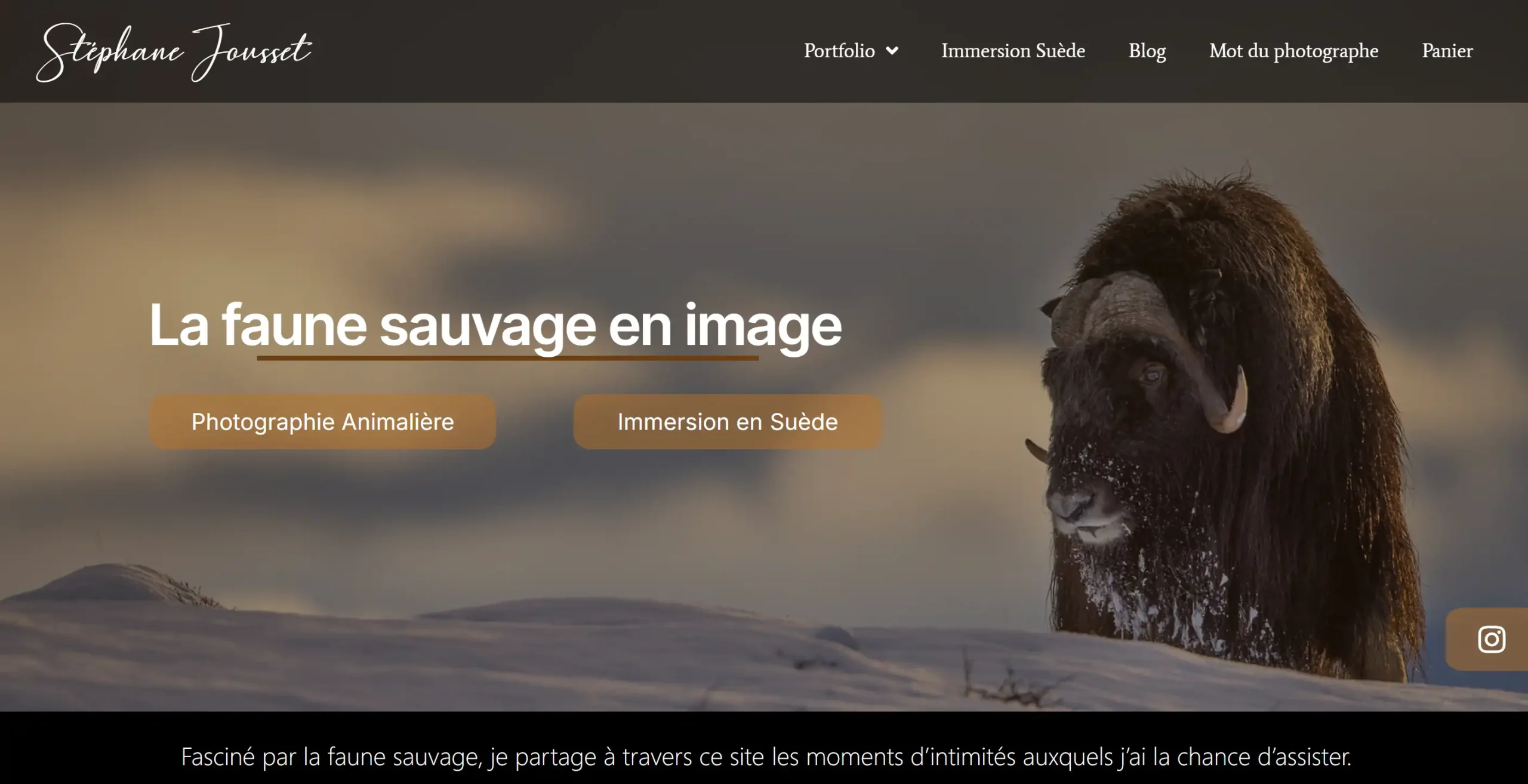 Page d'accueil du site de Stéphane Jousset, photographe animalier